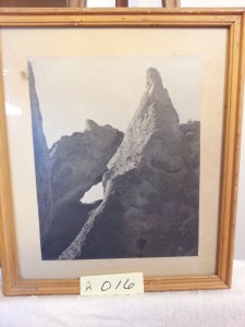 A016